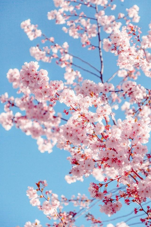 Whispering Meadows Floral Harmony